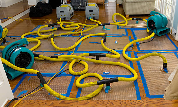 Professional Storm Water Damage Restoration technician working in Hanover, MD